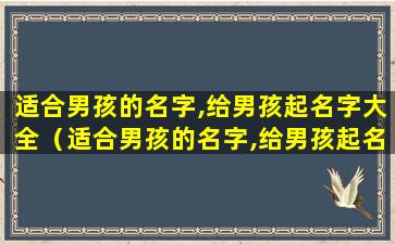 适合男孩的名字,给男孩起名字大全（适合男孩的名字,给男孩起名字大全两个字 🐺 ）